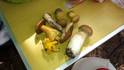 20150802_133440.jpg