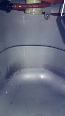 DSC_0097.JPG