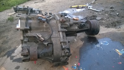 WP_20150811_003.jpg