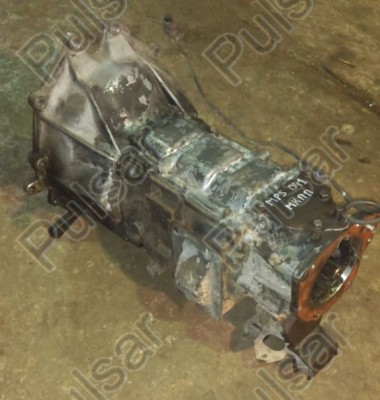 IMAG3336_Pulsar.jpg
