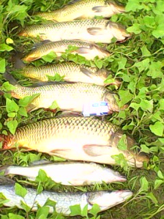 IMG0053A.jpg
