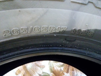 b216872s-960.jpg