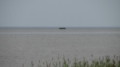 85764500.jpg