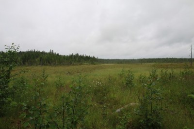 IMG_1731.jpg