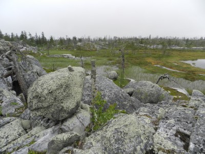 DSCN8008.JPG