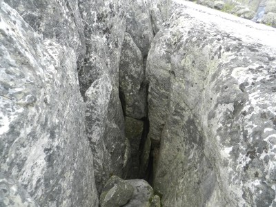 DSCN8007.JPG