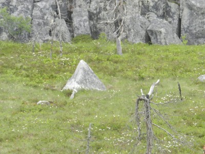 DSCN8005.JPG