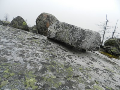 DSCN8003.JPG