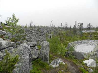 DSCN8000.JPG