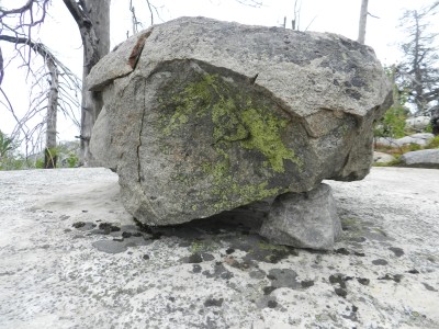 DSCN7999.JPG