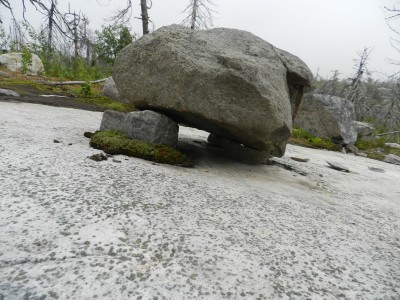 DSCN7998.JPG