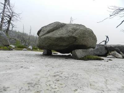 DSCN7997.JPG