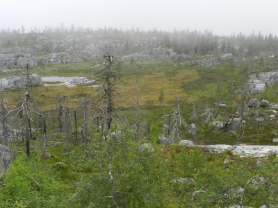 DSCN7994.JPG