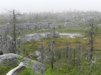 DSCN7993.JPG