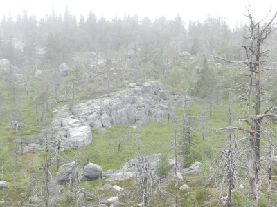 DSCN7992.JPG