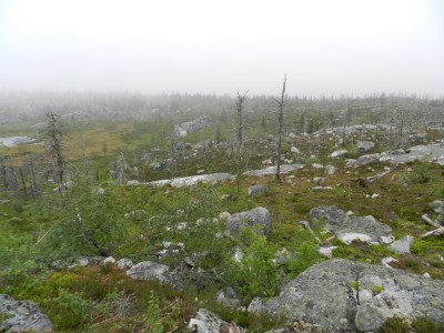 DSCN7991.JPG