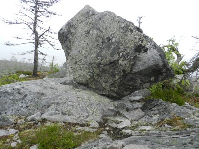 DSCN7989.JPG