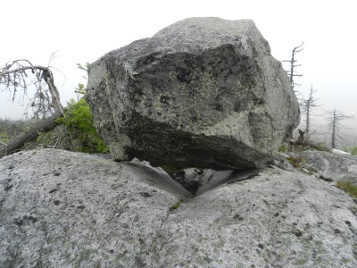 DSCN7988.JPG