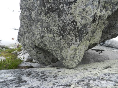 DSCN7986.JPG