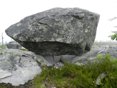 DSCN7984.JPG