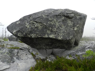 DSCN7983.JPG