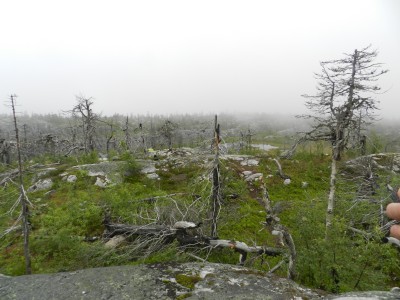 DSCN7979.JPG