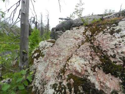 DSCN7976.JPG