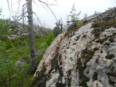 DSCN7975.JPG