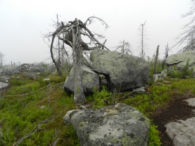 DSCN7970.JPG