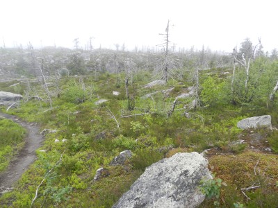 DSCN7966.JPG