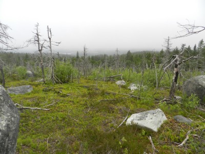 DSCN7965.JPG