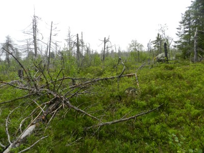 DSCN7962.JPG