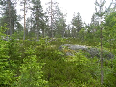 DSCN7952.JPG