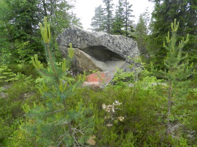 DSCN7951.JPG