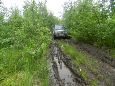 DSCN7936.JPG