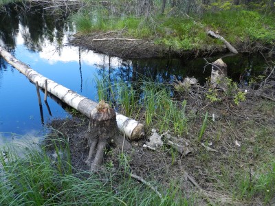 DSCN7905.JPG