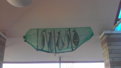 IMAG0363.jpg