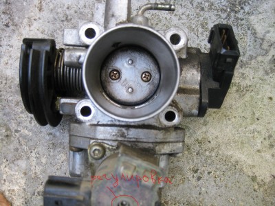 Копия IMG_2426.JPG