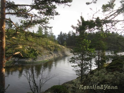 IMG_1660.jpg