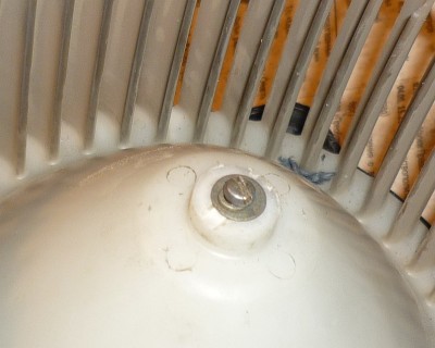 P1130231.JPG