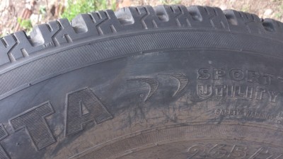 DSC_0595.jpg