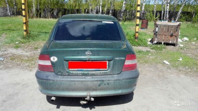 003 баг.jpg