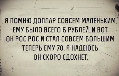 долл.jpg
