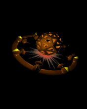 animation073.gif