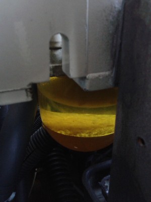 20150912_172813.jpg