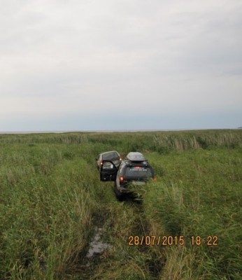 IMG_6638.jpg