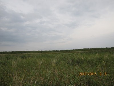 IMG_6632.jpg