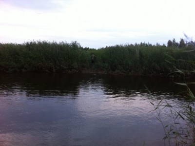 IMG_3980.jpg
