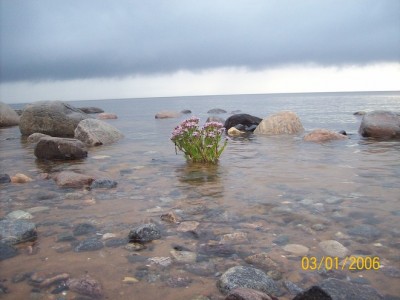 100_6086.jpg