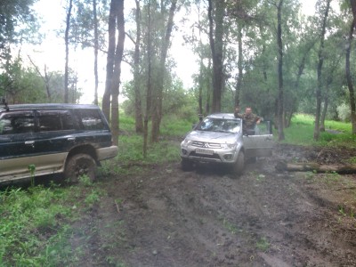 IMG_20150705_184622.jpg